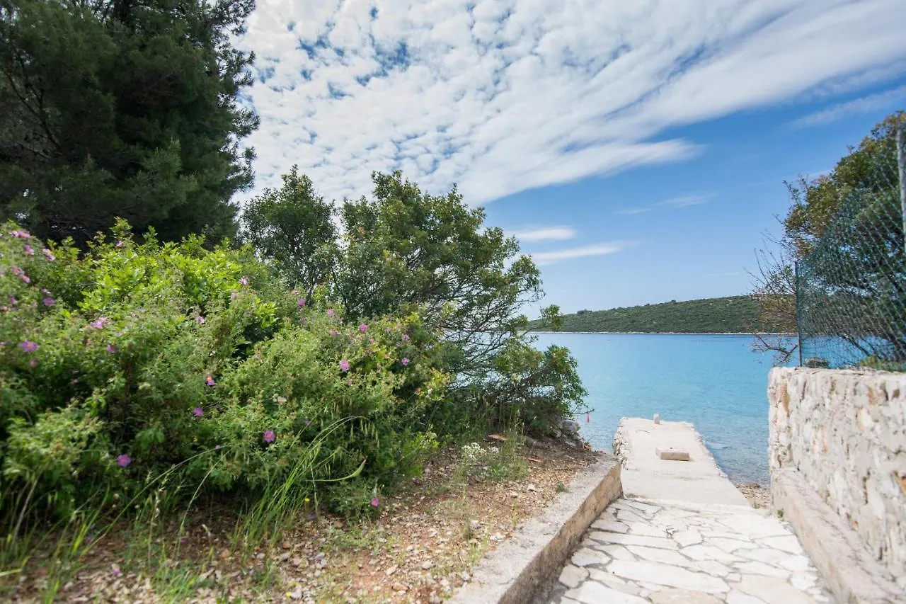 Villa House Olive Tree Tkon 0*,  Croacia