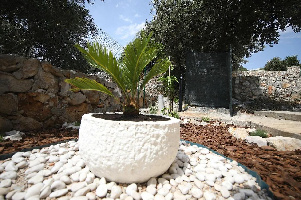 Villa House Olive Tree Tkon Croacia
